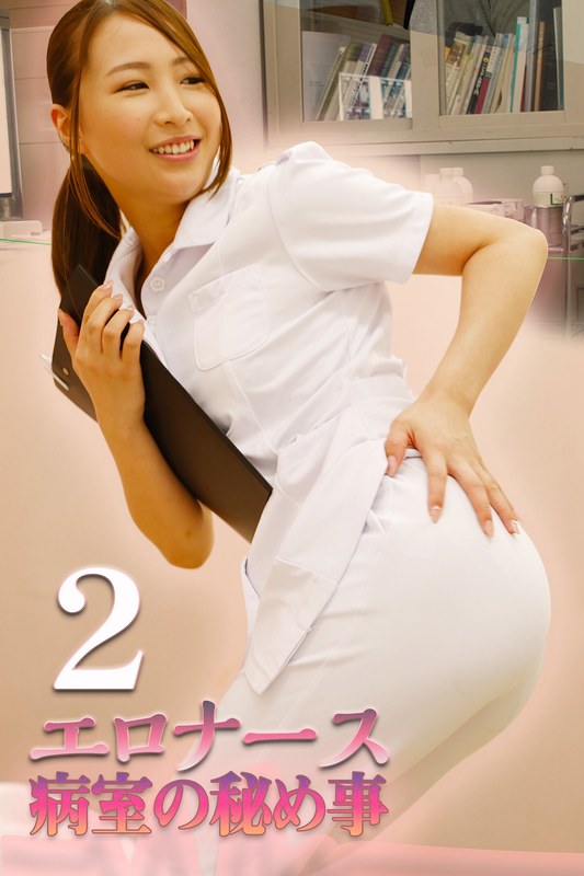 H 105zb00132pl