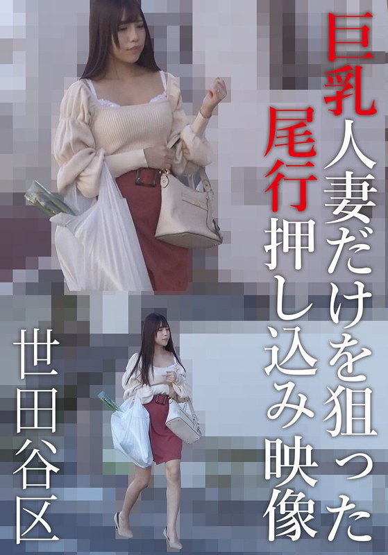 H 308aozx00307zbpl